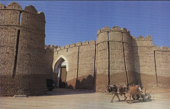 Image result for naukot fort